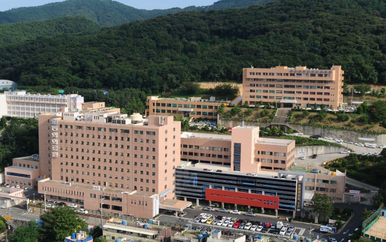 Dong-Eui University Korean Medicine Hospital